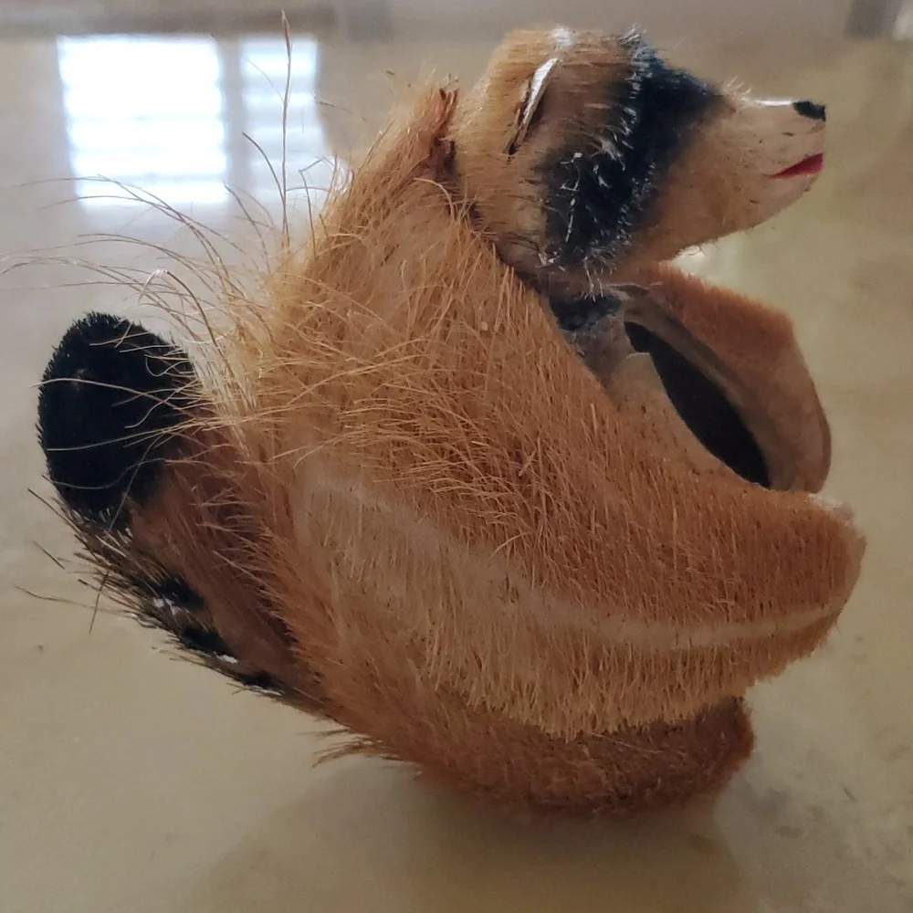 Vintage Raccoon Coconut Vase